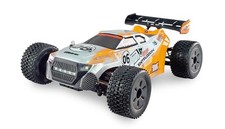 AMEWI / Entelodon Pro Truggy