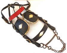 CHEVAL ÉQUITATION  BRIDE À ŒILLÈRES  HARNACHEMENT BRIDON EN CUIR LAITON ET ACIER