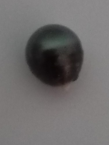 Véritable perle noire - véritable,