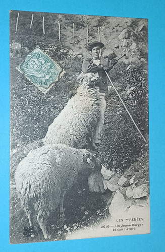 Cpa les pyrenees un jeune - 65,