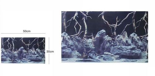 Poster fond pour - pour, aquarium