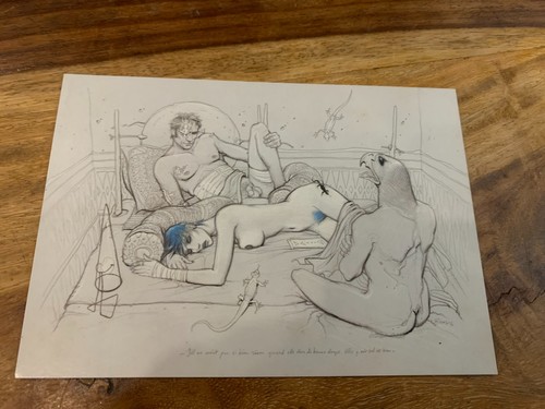 Carte postale 15x10 tintin tbe - 15x10,