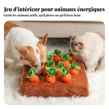 Jouet à Tirer Carottes