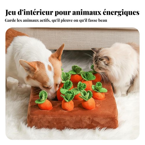 Jouet tirer carottes - tirer,