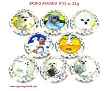 SERIE DE 8 CAPSULES DE CHAMPAGNE - BRUNO ARMAND N°23