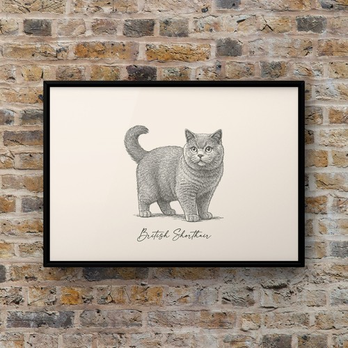 Art print cat - a4,