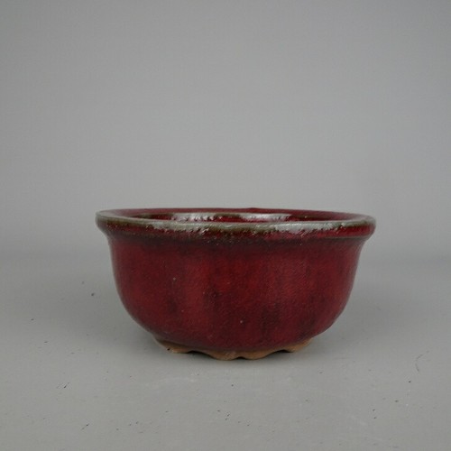 Pot bonsaï chinois bordé - à,