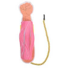  Maquette Corps Humain