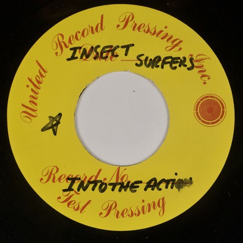 Insect surfers pod life - insect, surfers:
