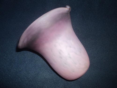 Ancienne tulipe pate de - ancienne, tulipe 