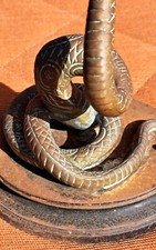 EXCEPTIONNEL !!PORTE MONTRE