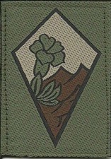 INSIGNE TISSU, PATCH MILITAIRE