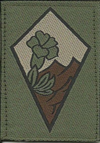 Insigne tissu patch militaire - tissu,,