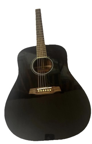 Walden d351sb acoustic guitar - walden,