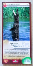 CARTE MERVEILLES DU MONDE -