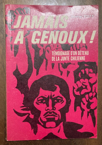 Jamais genoux rodrigo - jamais,