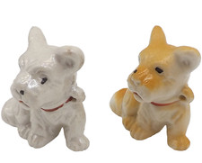 Westie Terrier Dog Animal