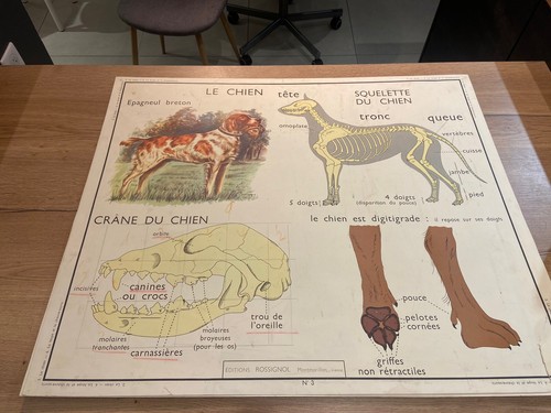 Carte affiche scolaire - affiche,