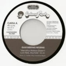 Guayaberas Negras Cantadoric