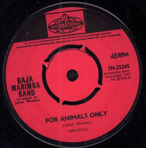 Baja marimba band for animals - baja,