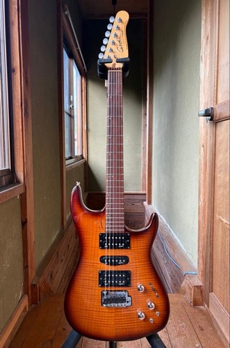Godin freeway guitar - freeway,