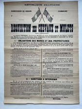 Affiche 14 - 18 "Réquisition des chevaux et mulets" Originale