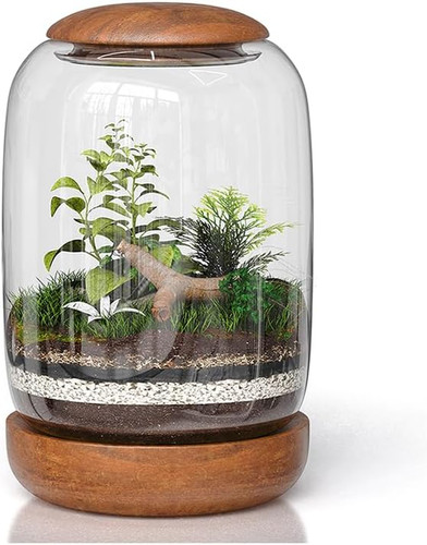 Exclusive glass terrarium - exclusive,
