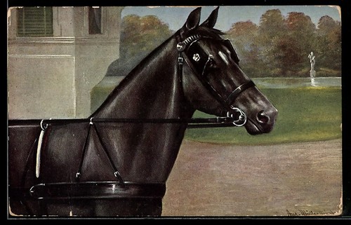 Cheval calèche avec bride - de,
