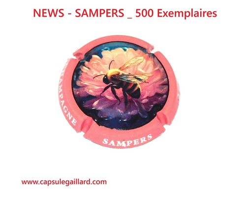 News capsule champagne - champagne,