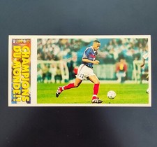 IMAGE PANINI FOOTBALL
