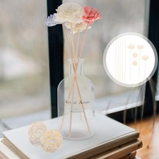  Bâtonnets Diffuseur De