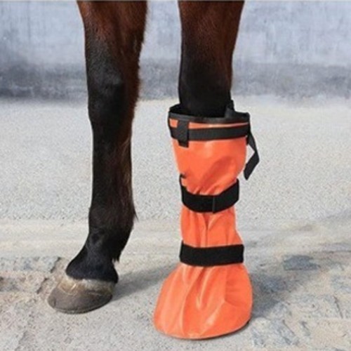 Sac soin pied cheval portable - pied,