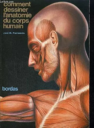 Comment dessiner anatomie du - l'anatomie,