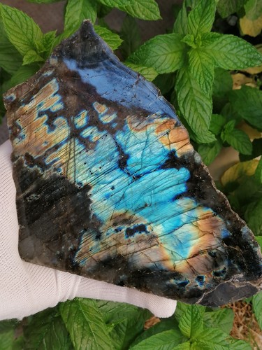 Labradorite polie face - , avant