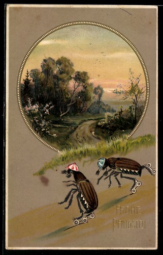 Carte postale passe partout - carte, passe-partout