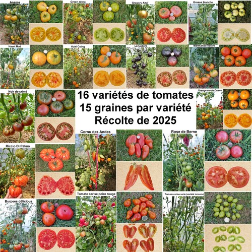 240 graines variétés - 16, de