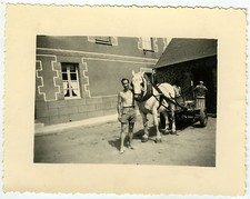PHOTO ANCIENNE-CHEVAL ATTELAGE HOMME TORSE NU GAY-HORSE MAN FUN-Vintage Snapshot