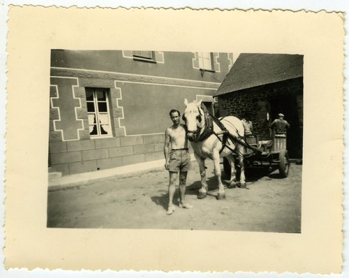 Photo ancienne cheval - photo, attelage