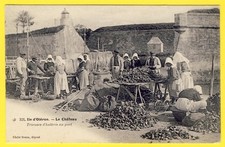 cpa 17 - ÎLE d'OLÉRON TRIEUSES d'HUITRES au PORT Chenal du CHÂTEAU Animé Métier
