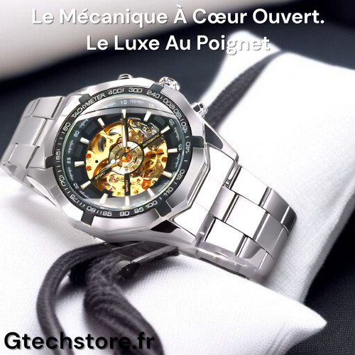 Montre mécanique luxe - mécanique, de