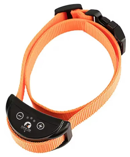 Collier anti aboiement chien - collier,