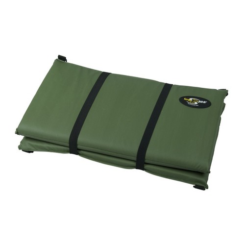 Tapis reception carpe - carpe, mat