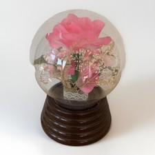 Globe Verre Roses Animées
