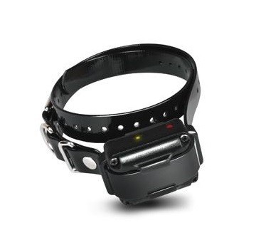 Collier supplémentaire - , de