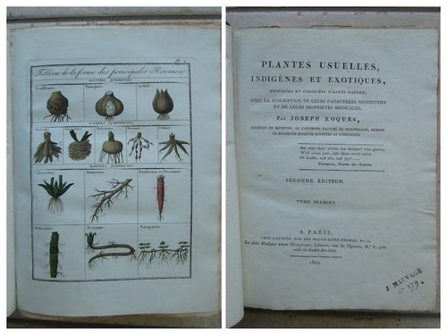 Roques plantes usuelles - :,