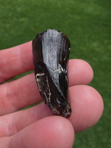 Freshly erroded predation - freshly,