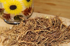 Mandrake Root - Whole Dried