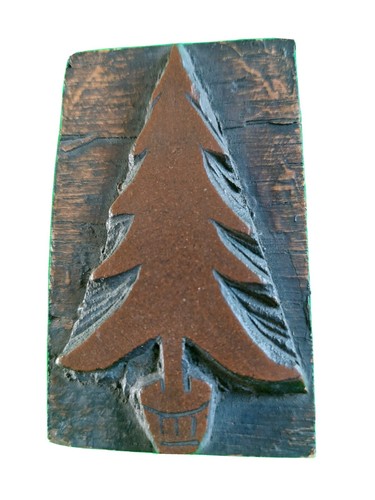 Petit sapin noel - petit, sur