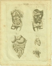 Rare Gravure 18e siècle