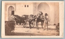 CDV 1870 Calèche Voiture à Cheval en Afrique du Nord Carriage Horse-drawn Photo